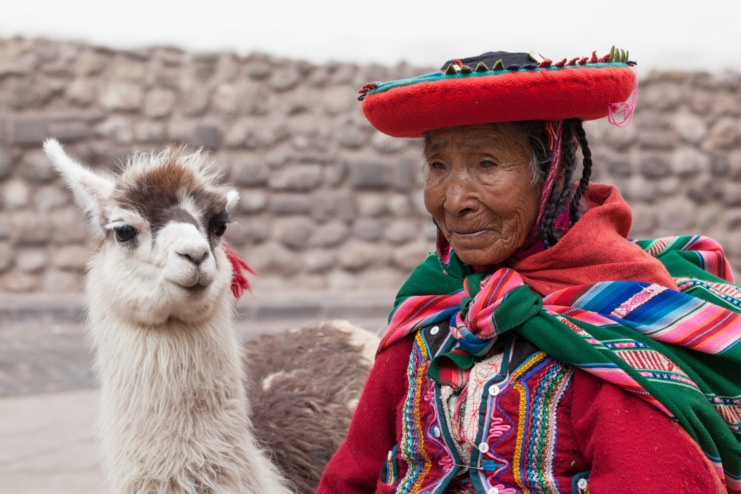 eldre dame i folkedrakt sammen med en lama