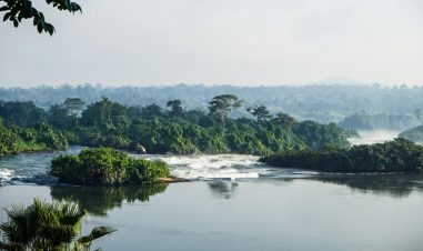 Naturlandskap i Uganda, sjø og trær