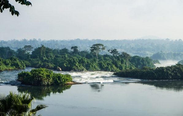 Naturlandskap i Uganda, sjø og trær