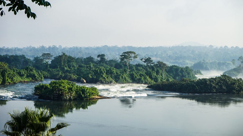 Naturlandskap i Uganda, sjø og trær