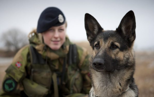 Soldat i bakgrunnen, hund i forgrunnen