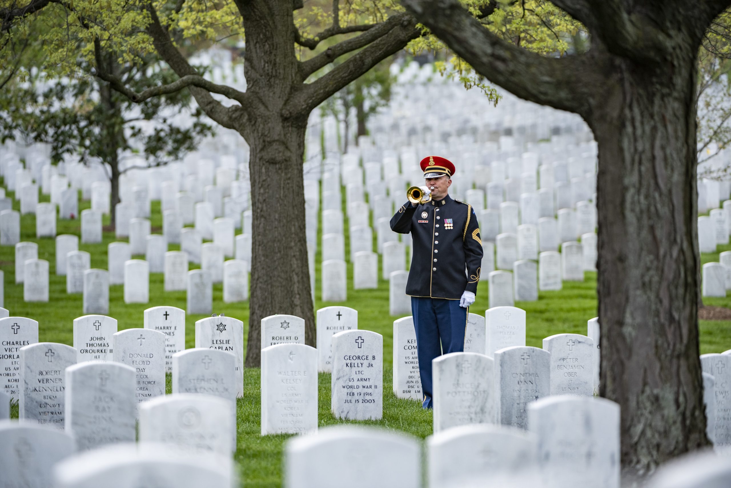 En soldat blåser i en trompet mellom hundrevis av hvite gravstener.