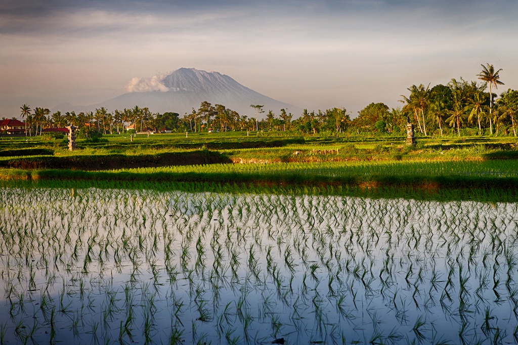 Landskap Indonesia. Våtmark foran, fjell i bakgrunnen
