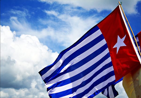 En flagg ved blå og hvite striper, samt en hvit stjerne på rød bakgrunn veiver i vinden.
