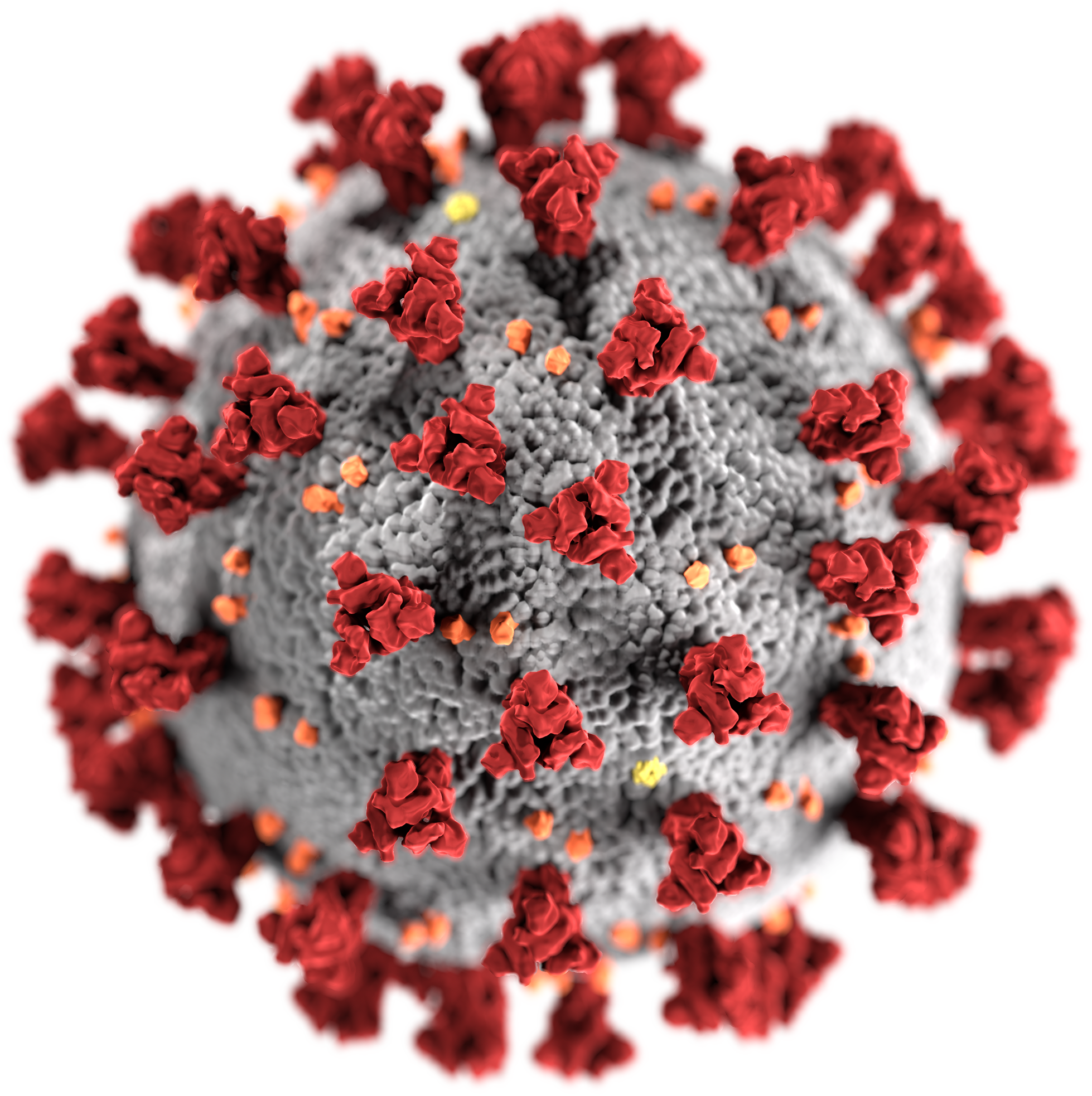 Illustrasjon av koronaviruset, en grå ball med røde trekanttagger.
