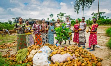 Kvinner kledd i fargerike, tradisjonelle klær står foran en haug med kakaofrukt.