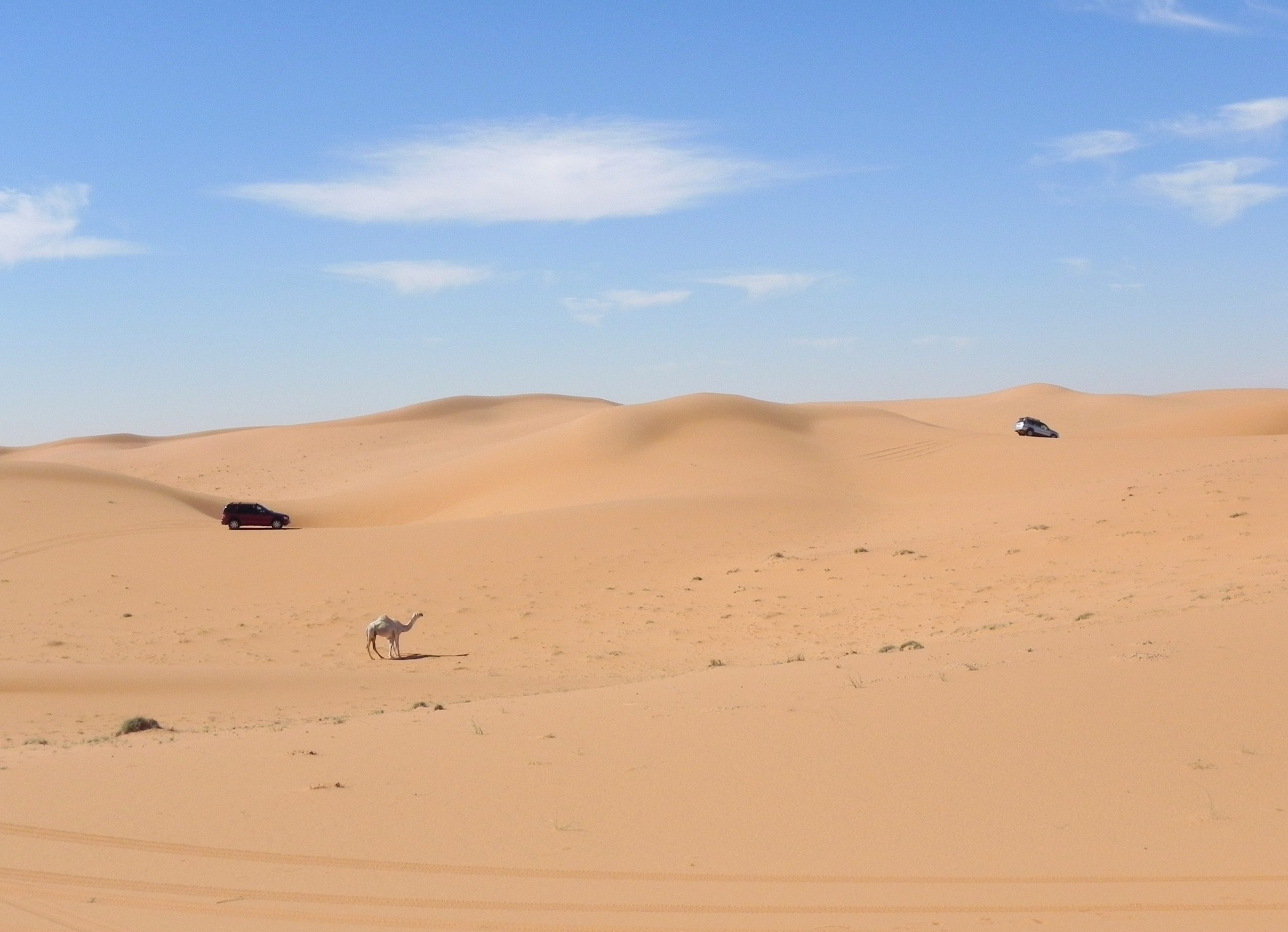Sanddyner i Saudi-Arabia